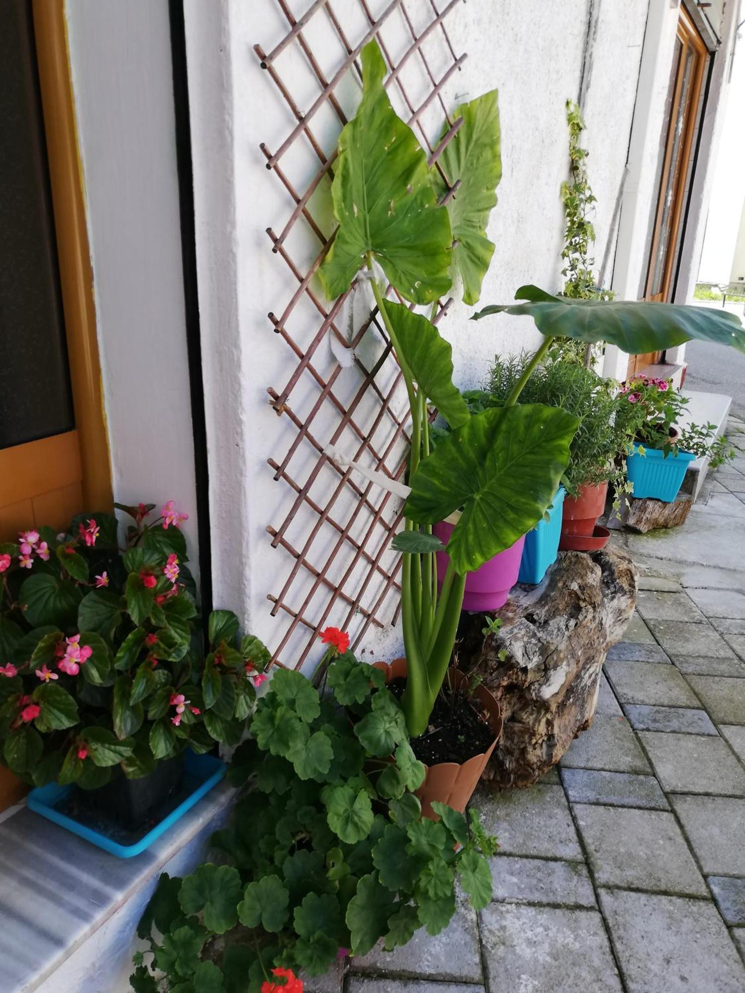Vlorë Casa Mia旅舍 外观 照片